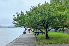 荣昊回归武汉足坛任队长 再创传奇篇章