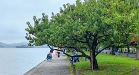 荣昊回归武汉足坛任队长 再创传奇篇章